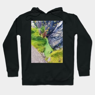 Tiny Tide Pool Hoodie